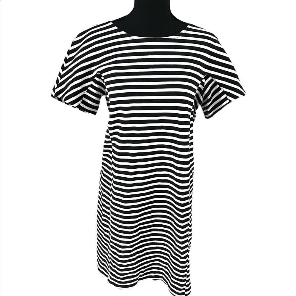 J. Crew knee length dress